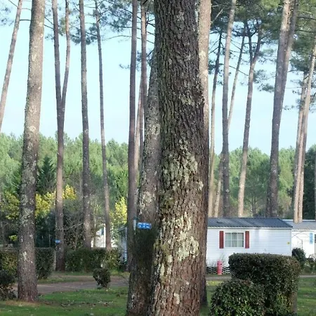 Mobil Rainbow, Les Dunes De Contis * サン・ジュリアン・アン・ボルヌ