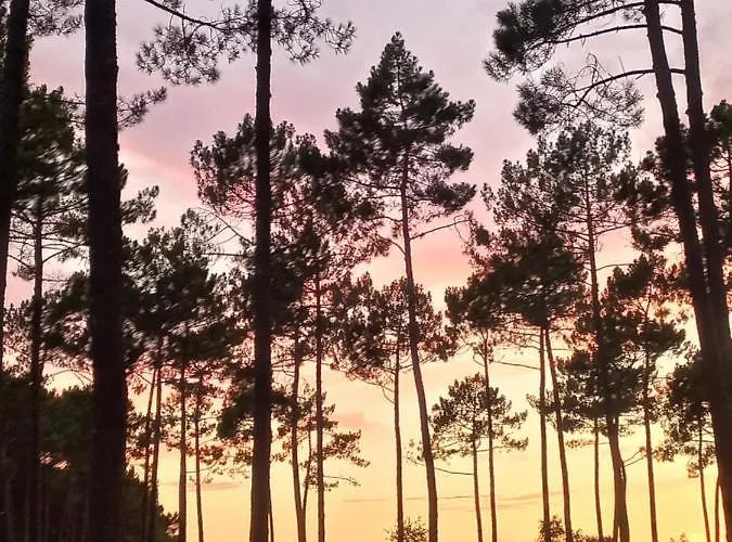 Mobil Rainbow, Les Dunes De Contis 波讷地区圣朱利安